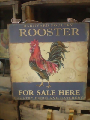 12er Set Dekorative Antik Repro Blechschilder