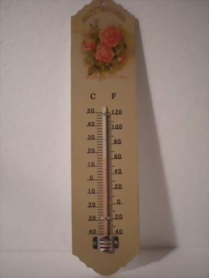 Dekoratives Antik Landhausstil Wand Thermometer - Robert Scott & Son