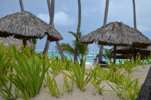 Strand im Grand Palladium Punta Cana