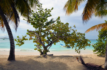 Blick �ber den Strand von Saona