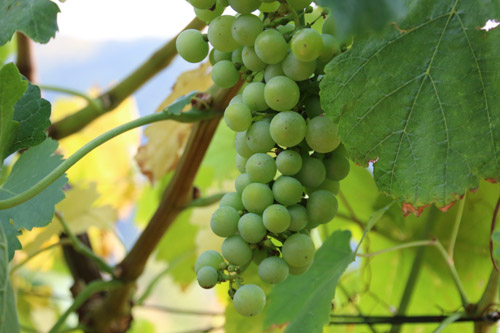 Spaargebirge, Meißen